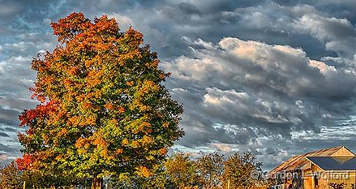 Autumn Clouds_P1200833-5.jpg - Photographed near Smiths Falls, Ontario, Canada.